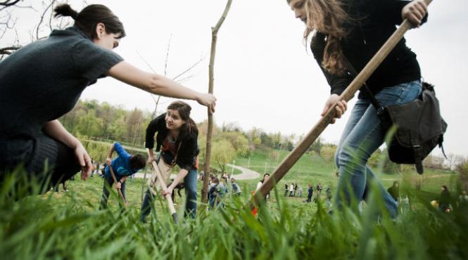 400 de copaci plantati in satul poroschia in cadrul saptamanii globale de voluntariat a hilton worldwide