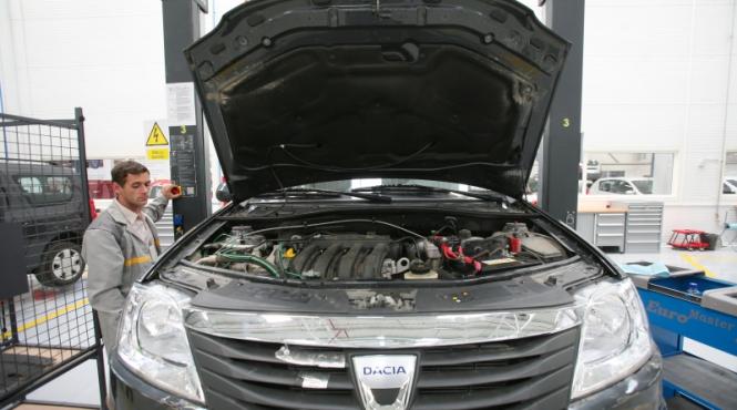 cum riscam sa pierdem un simbol national ar putea ajunge emblema nationala a marocului