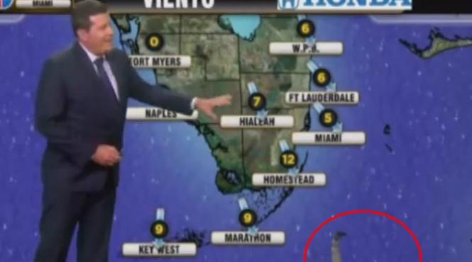 moment amuzant in direct la tv la rubrica meteo ce face o pisica in timp ce prezentatorul vorbeste despre vreme video