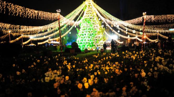 lumini craciun bucuresti ceremonie webcam transmisie live