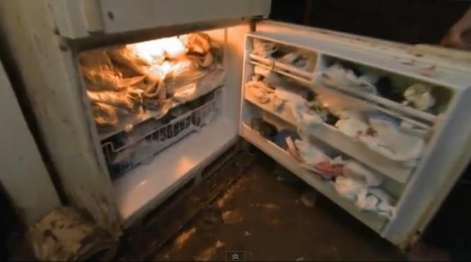 dependenta nebuna o tembela colectioneaza pisici moarte