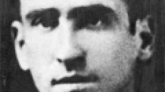 scrisoare albert einstein valter roman petre roman