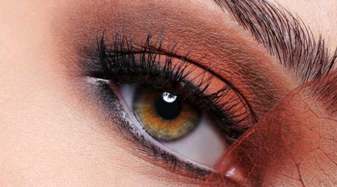 machiaj in nuantele ciocolatei tendinta iernii 2012 2013