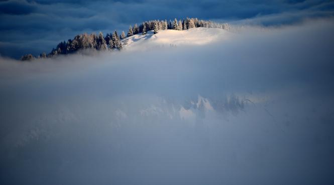 17 decembrie 2012 imaginile zilei