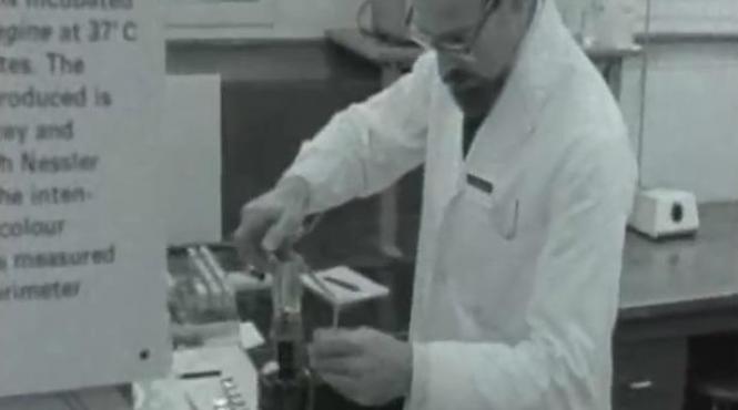 experimente militare secrete in marea britanie mii de animale aruncate in aer otravite sau infectate cu antrax video