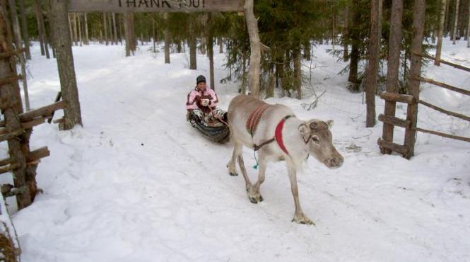unde plecam de craciun