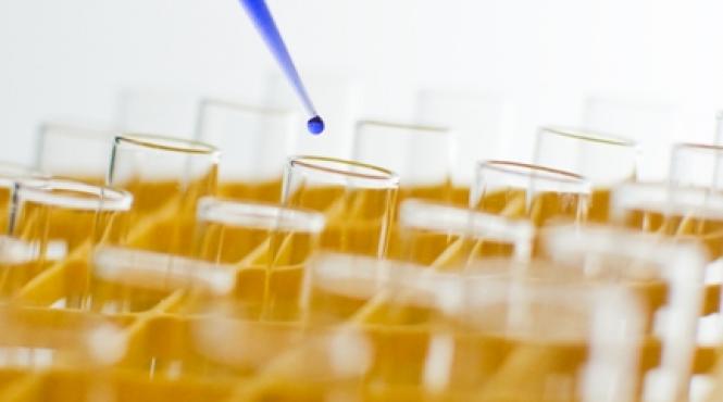 cercetarea cenusareasa economiei