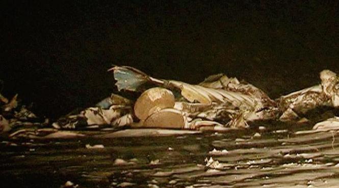 avion prabusit in kazahstan niciun pasager nu a supravietuit impactului