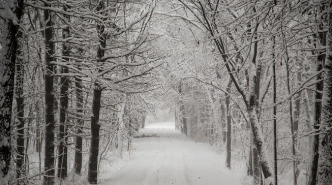 tornade si viscol de craciun in statele unite morti raniti locuinte avariate si intreruperi de curent