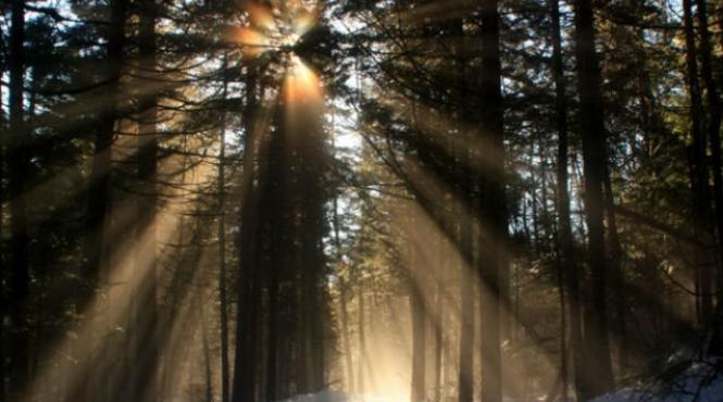 vreme calda pentru decembrie dar reapar precipitatiile vezi cum va fi vremea in urmatoarele zile