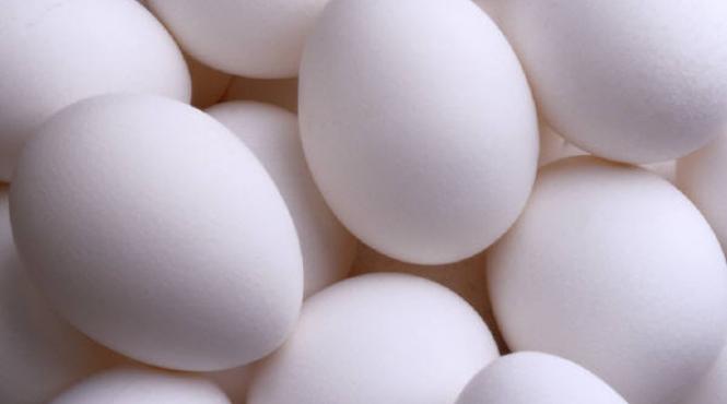 pariu mortal a inghitit 28 de oua