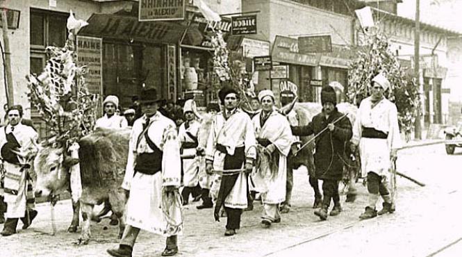 plugusorul 2013 aho aho copii si frati stati putin coabitati