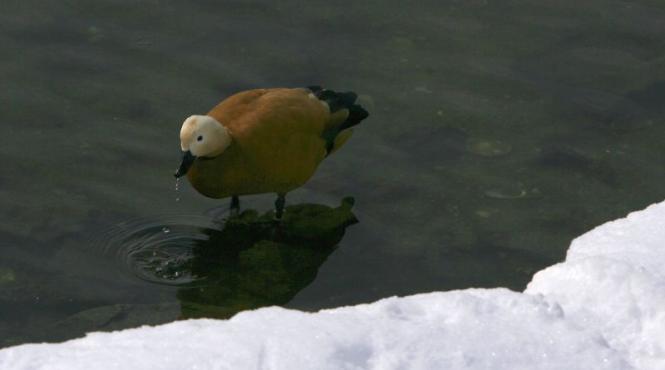 vremea se incalzeste usor vezi prognoza meteo pana sambata