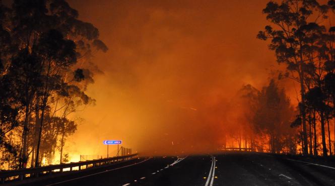 9 ianuarie 2013 imaginile zilei