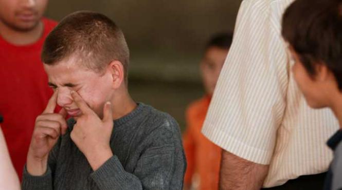 orfanii romaniei material de studiu pentru cercetatorii americani