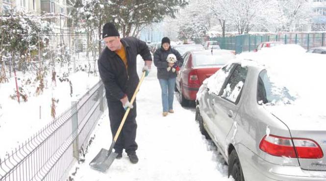 eminescu taie lemne sau cultura noii generatii cei in varsta ii recita versurile elevii nu si amintesc nici titlurile poeziilor