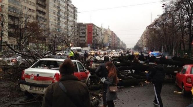 vantul face ravagii in capitala un copac a cazut peste opt masini pe soseaua stefan cel mare trei stalpi doborati in sectorul 5