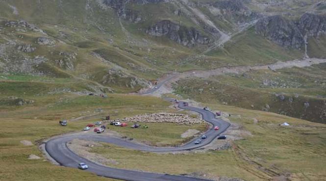 salvamontul acum si pe android