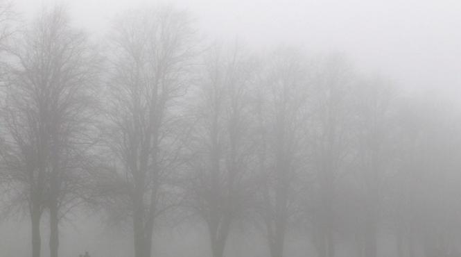 cod galben de ceata in sase judete vezi zonele vizate