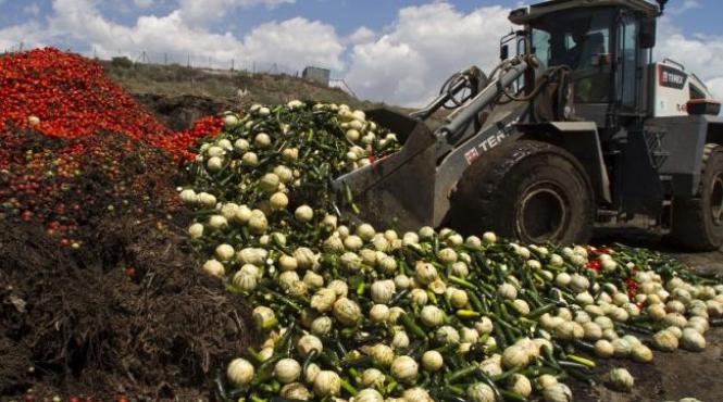 miliardele de tone de alimente aruncate ar putea hrani un continent