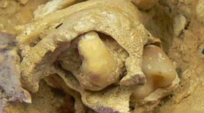 descoperire arheologi mormant roma antica tumora