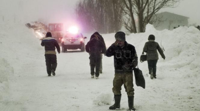 tanar disparut vaslui