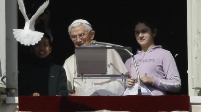 un porumbel eliberat simbolic de papa benedict al xvi lea aproape sa fie ucis