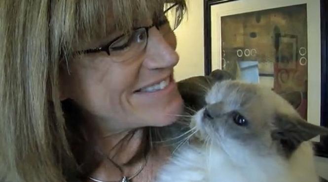 ciudatenie in lumea animalelor o pisica traieste de 13 ani cu doua capete video