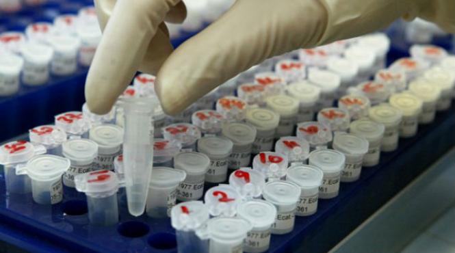 comisia europeana recomanda efectuarea de teste adn la produsele care ar trebui sa contina carne de vita