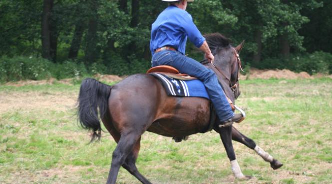 oferte de valentine s day romance pentru americani