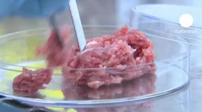 nestle retrage produse carne de cal vita spania italia