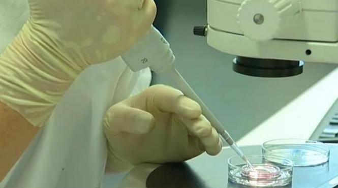 trafic de ovule doi reprezentanti ai clinicii med new life retinuti de diicot