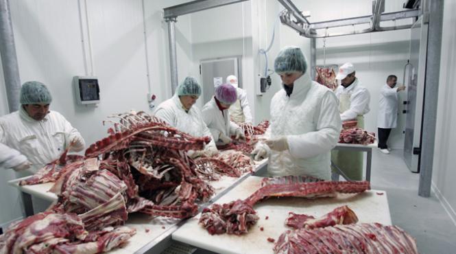 zeci de kilograme de carne cal cu eticheta de carne de vita descoperite la un comerciant din capitala