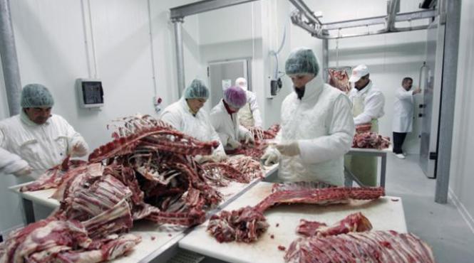 seful dsvsa botosani abatorul tatalui presedintelui ansvsa nu a livrat carne de cal