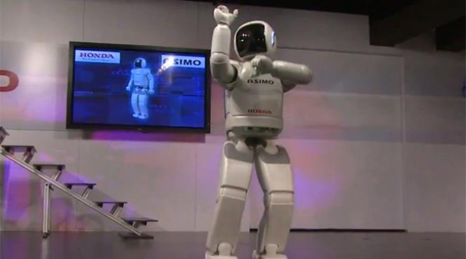 drepturile robotilor drepturile animalelor