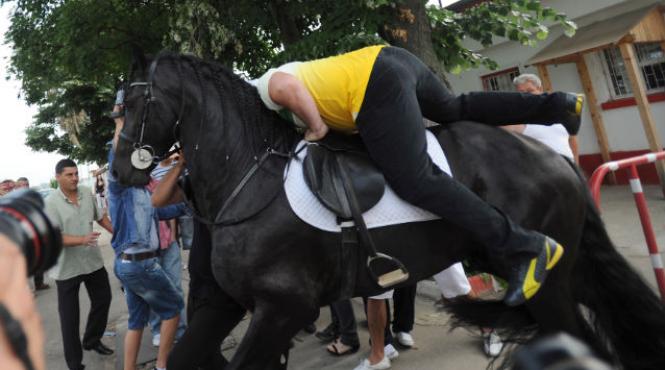 nutu camataru lei ursi cerbi confiscati