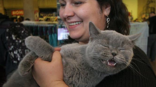 locatarii care locuiesc la bloc si detin mai mult de doi caini sau pisici vor fi amendati