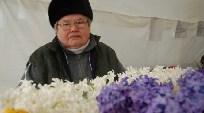 o floare si doi gradinari faliti vanzatorii de cadouri cu petale o duc din ce in ce mai greu