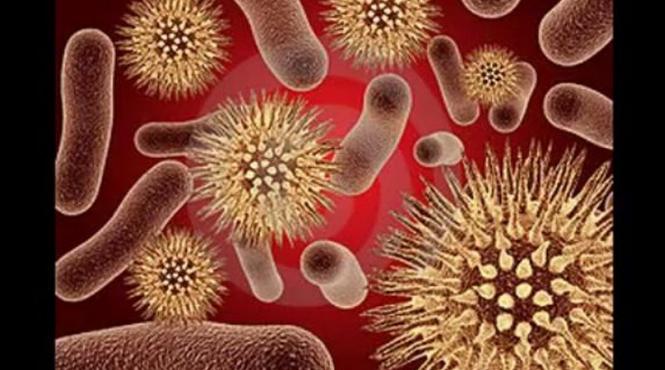 un nou pericol ameninta omenirea antibioticele cele mai puternice nu au efect infectiile sunt imposibil de tratat