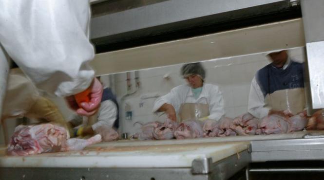 alerta de mancare toxica provenita din romania piept de curcan romanesc cu reziduuri de antibiotice descoperit in germania