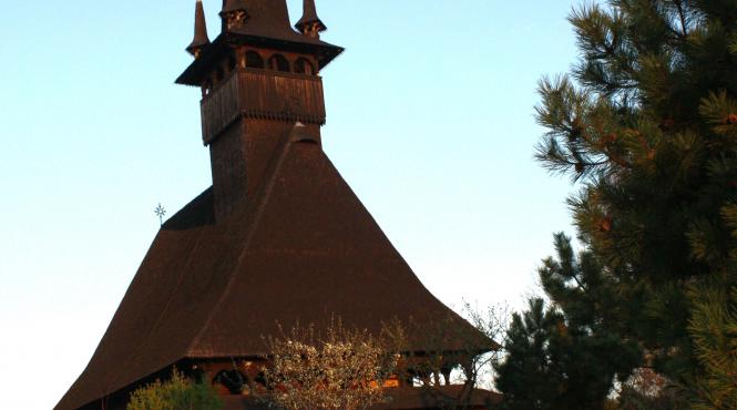 nicolae picu caterisit arhiepiscopie biserica