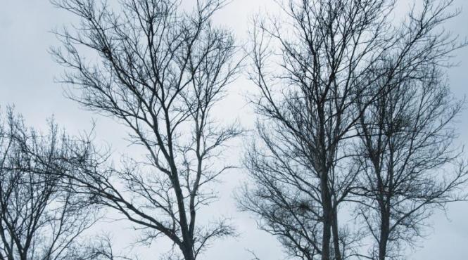 vreme rece precipitatii mixte si viscol vezi prognoza meteo pentru sfarsitul saptamanii