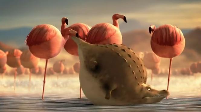 animale rotunde animatie