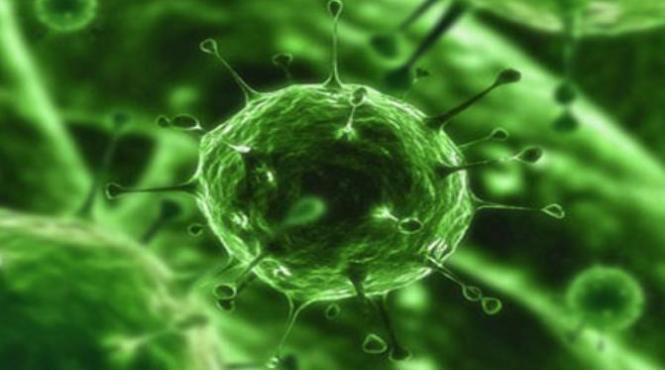 coronavirusul noua pandemie care va lovi omenirea citeste avertismentul organizatiei mondiale a sanatatii