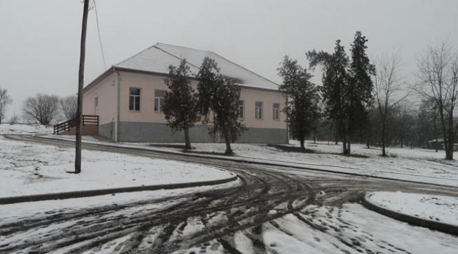 romania no country for old men cum ne dau lectii despre respect si pretuire olandezii si germanii