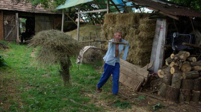 extraordinar fara maini sapa coseste pune fanul in capite curata vacile un interviu emotionant