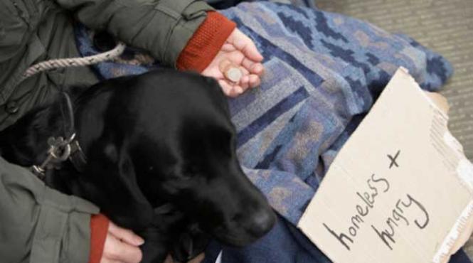 jurnalul unui roman sarac saracia ca detox