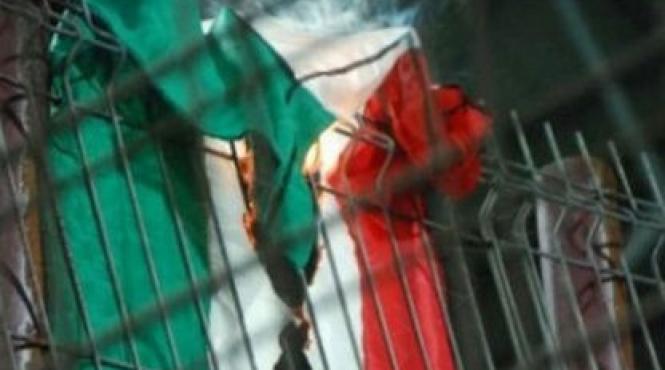 frf si a cerut scuze pentru incendierea drapelului national al ungariei in timpul meciului cfr cluj rapid