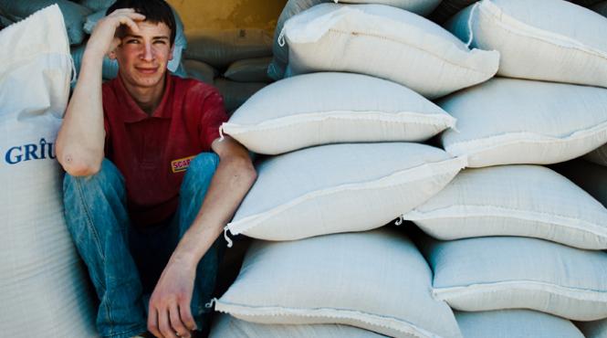 romania a exportat in 2012 cu 18 mai mult grau si porumb