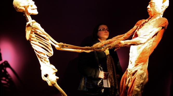 expozitia the human body record de vizitatori la antipa